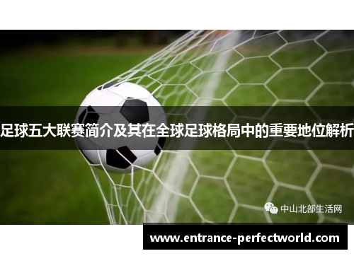 足球五大联赛简介及其在全球足球格局中的重要地位解析
