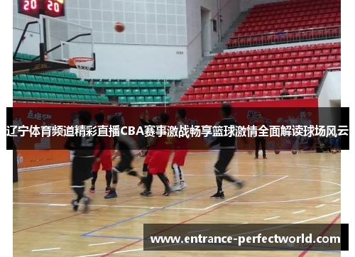 辽宁体育频道精彩直播CBA赛事激战畅享篮球激情全面解读球场风云